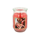 18oz Jar Scented Candle, Long Lasting Soy Wax Candle for Relaxation & Stress Relief, Aromatherapy Gift for Women, Birthday, Housewarming, Halloween, Thanksgiving, Christmas